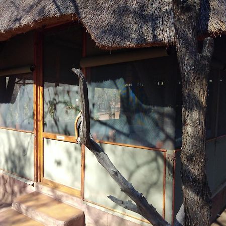 Nthakeni Bush&River Camp Pafuri Gate Bagian luar foto