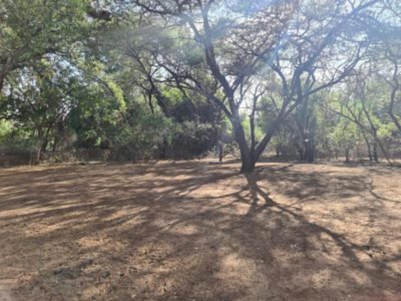 Nthakeni Bush&River Camp Pafuri Gate Bagian luar foto