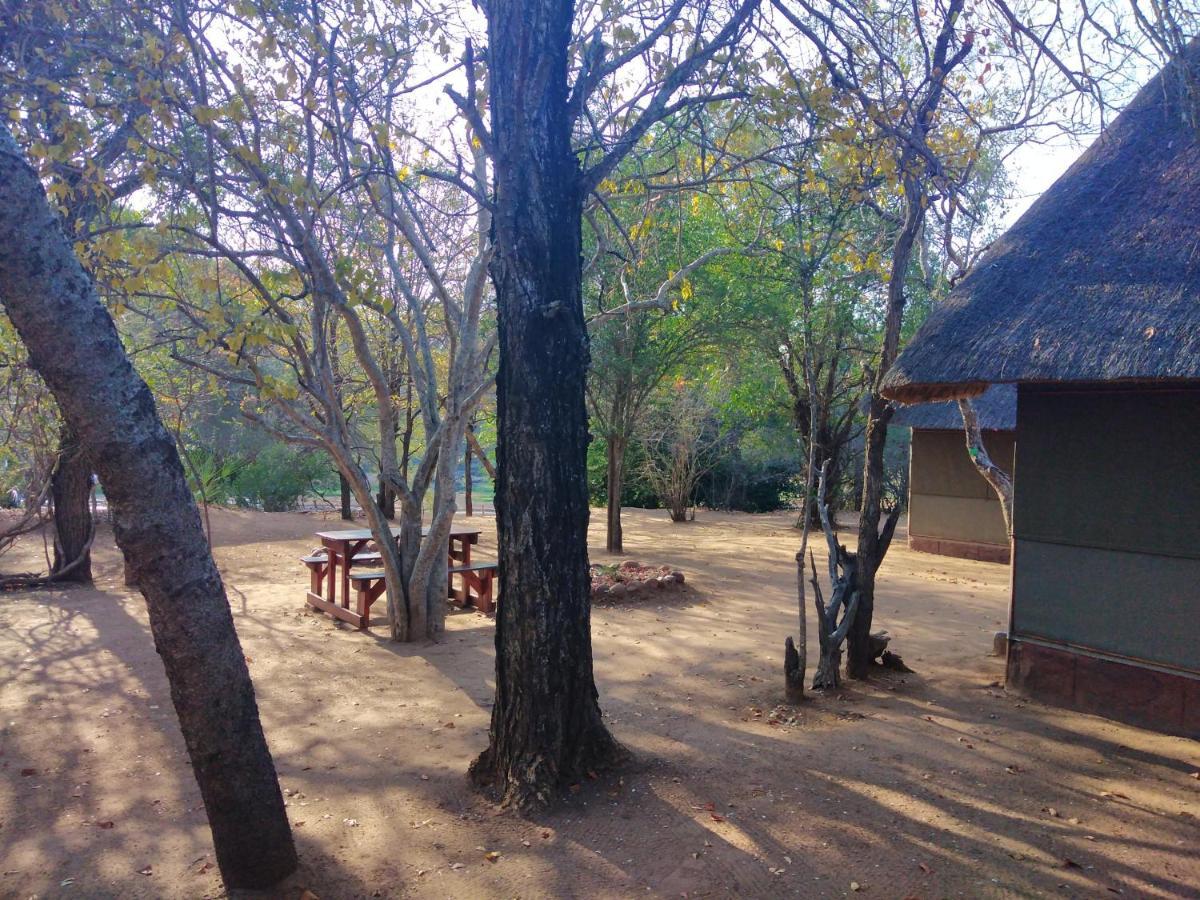 Nthakeni Bush&River Camp Pafuri Gate Bagian luar foto