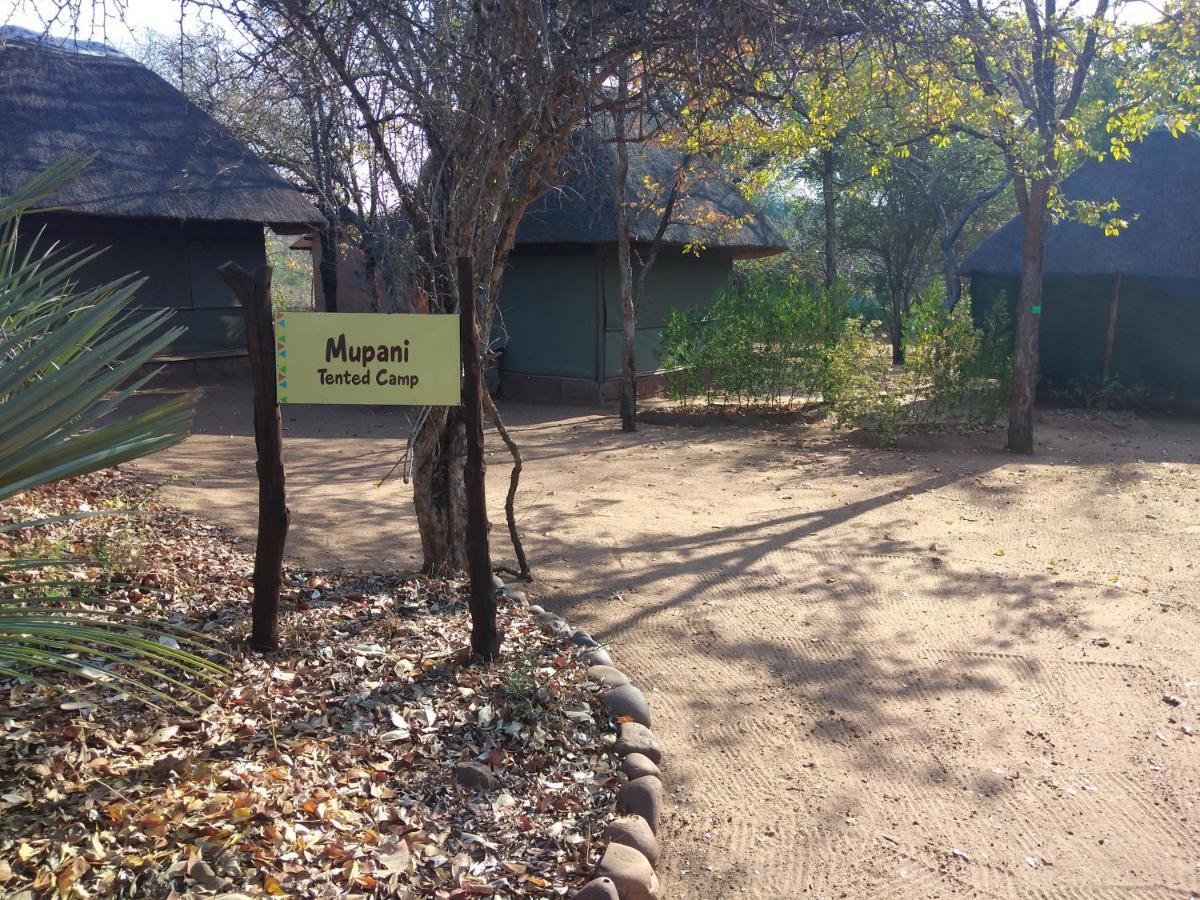 Nthakeni Bush&River Camp Pafuri Gate Bagian luar foto