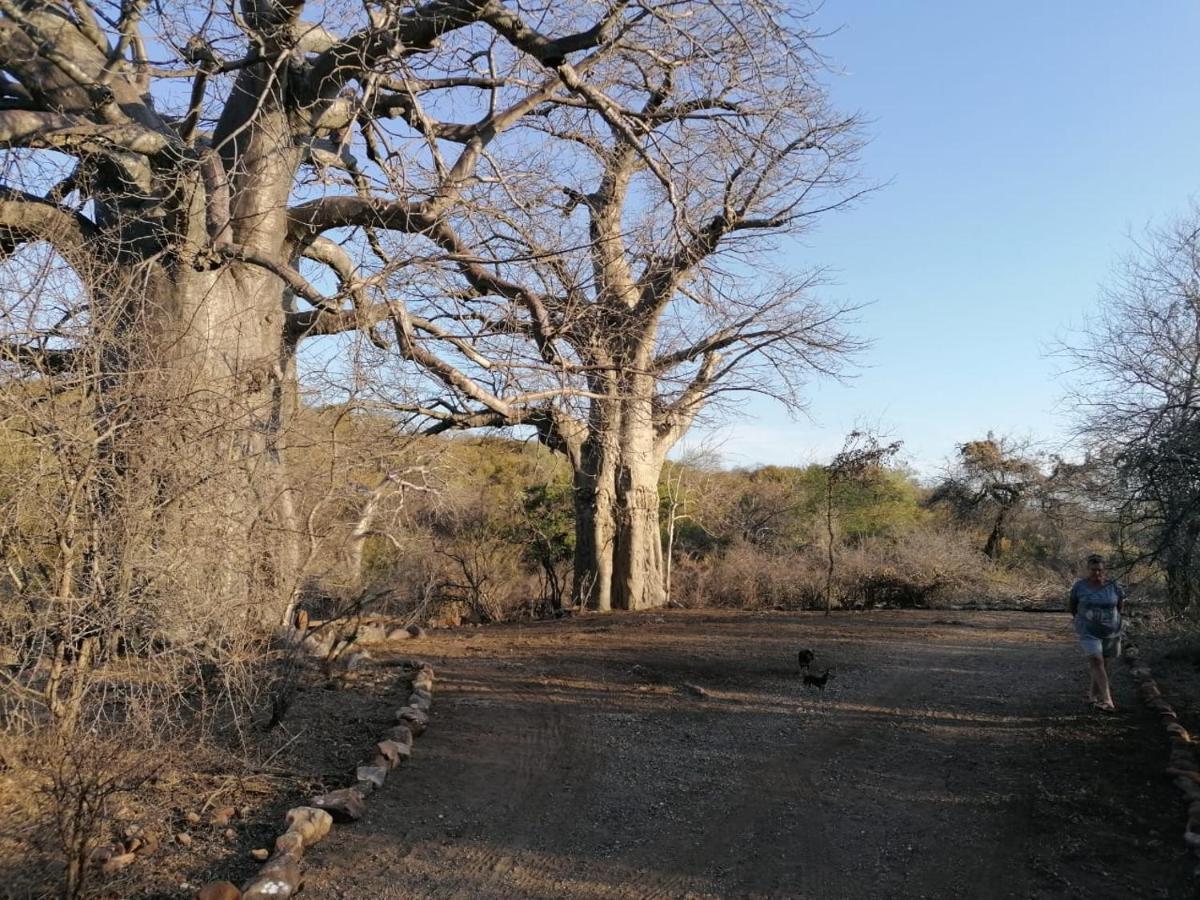 Nthakeni Bush&River Camp Pafuri Gate Bagian luar foto